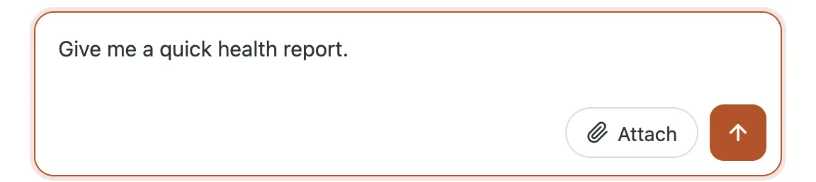 The CMSHands chat box with the question typed in: Give me a quick health report.