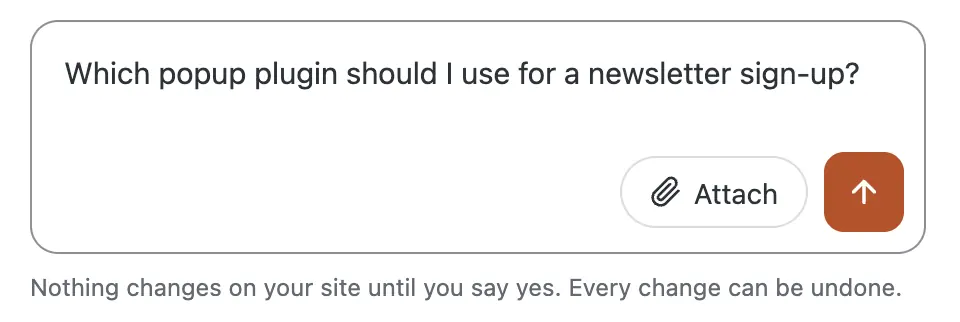 The CMSHands chat box with the question typed in: Which popup plugin should I use for a newsletter sign-up?