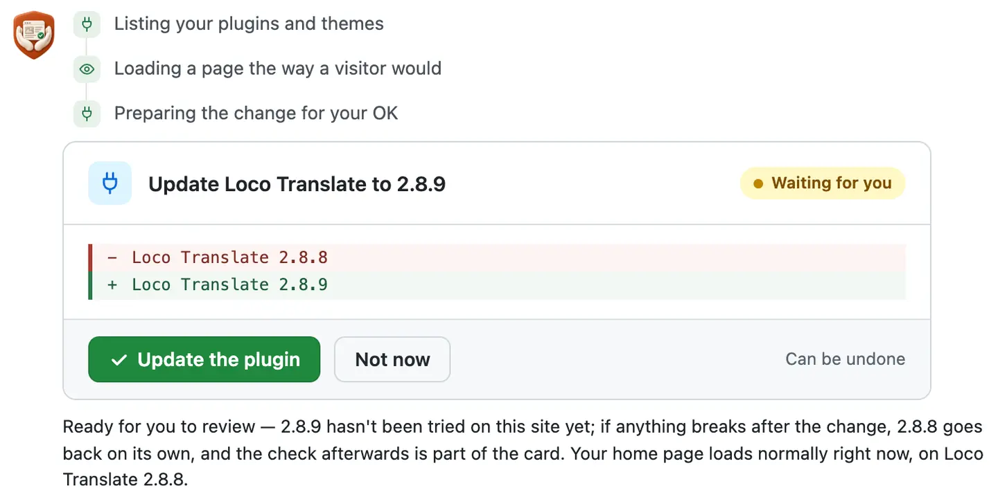 The same card in the second run: Loco Translate 2.8.8 out, 2.8.9 in, waiting for the Update the plugin button