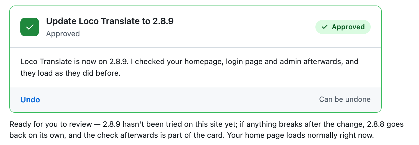 The card in green, Approved: Loco Translate is now on 2.8.9, home, login and admin checked, with an Undo link
