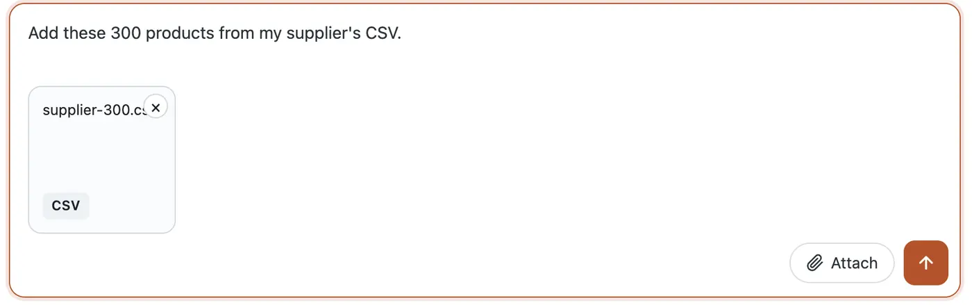 The chat box in the WP dashboard, supplier-300.csv attached, the request typed in