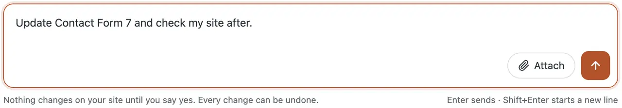 The chat box in the WP dashboard with the request typed in: Update Contact Form 7 and check my site after.
