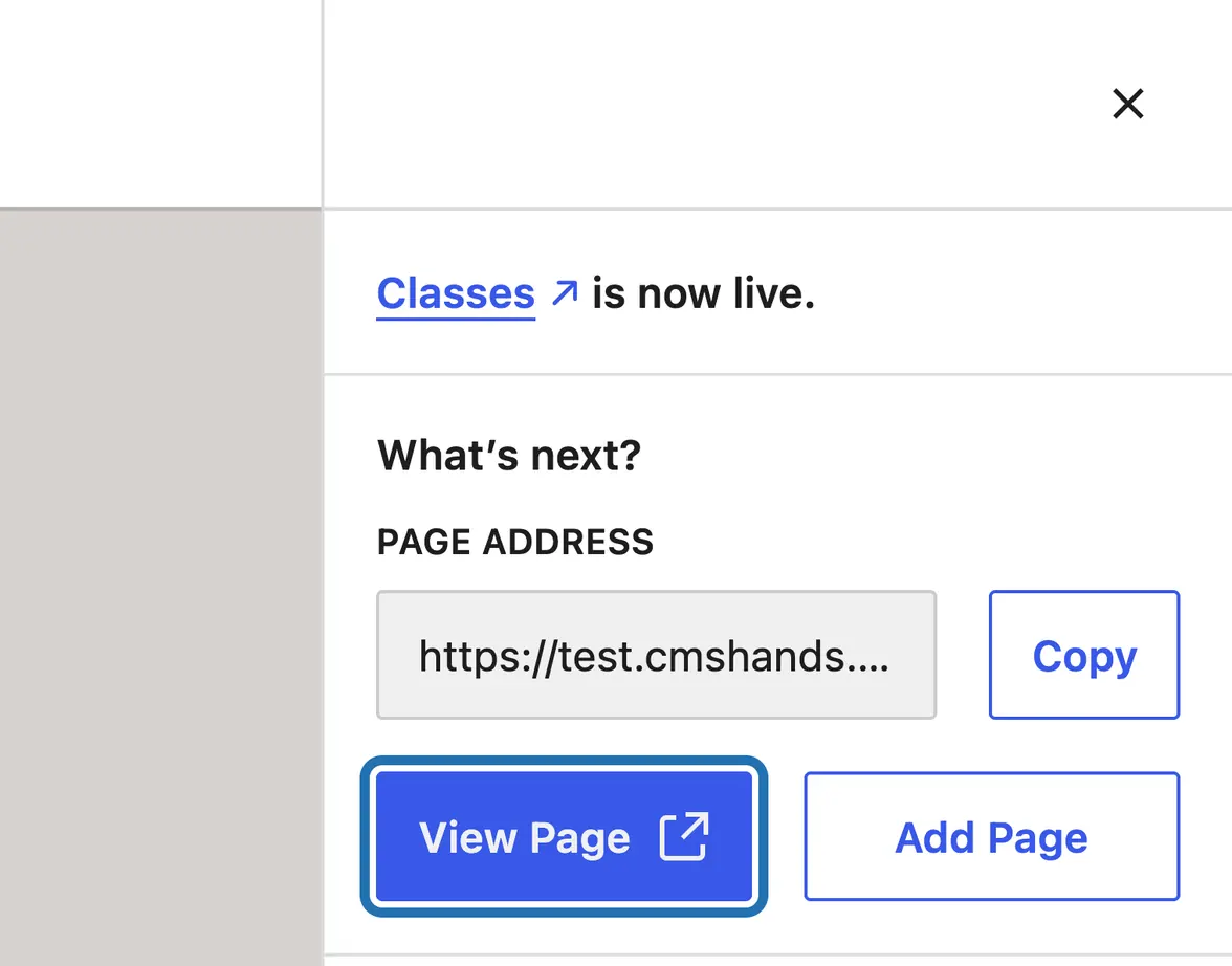 The panel after publishing: Classes is now live, with the page address and View Page outlined