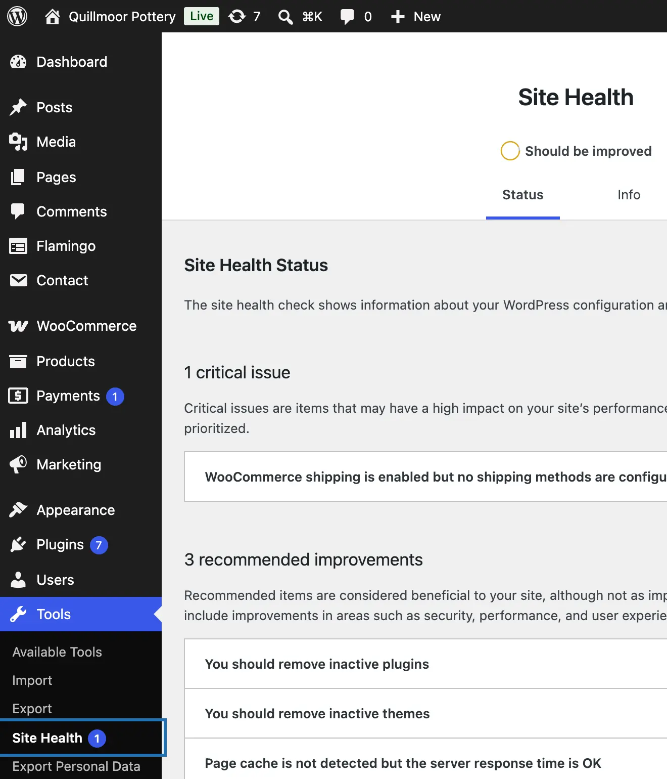 Tools open in the WP menu, with Site Health outlined and a 1 beside it for the site's one critical issue