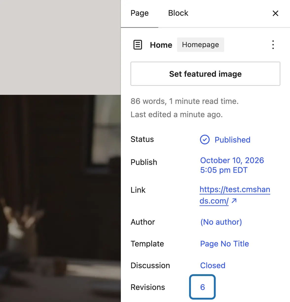 The editor's Page tab for the home page, with the Revisions count outlined