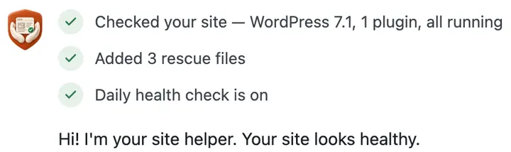 The chat right after Turn on: site checked, 3 rescue files added, daily health check on, and four things to ask first